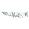 Willow Leaf Vine Wall Stencil | 3025 by Designer Stencils | Floral Stencils |